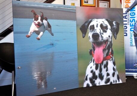 L3_01B-GX-Biggera-Wall-Canvas
